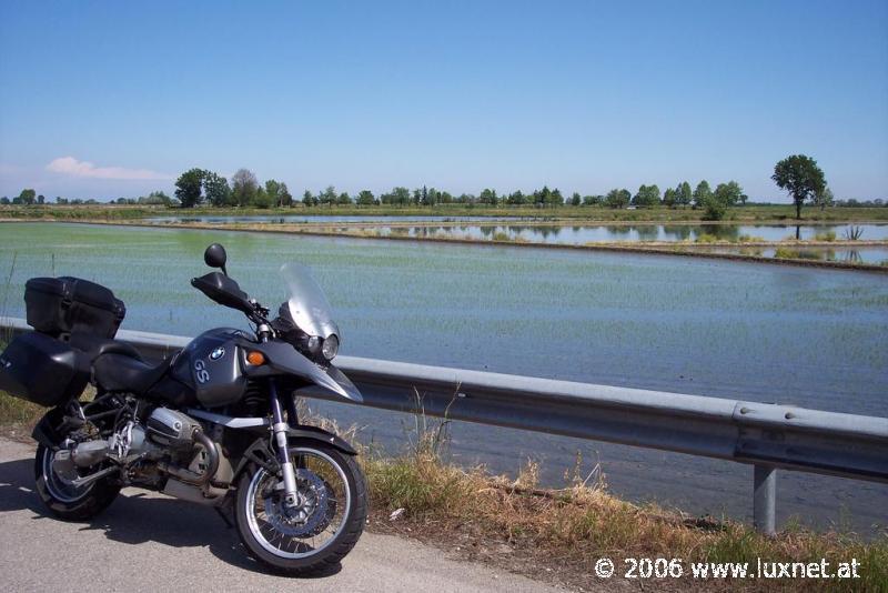 Ricefields (Piemont)