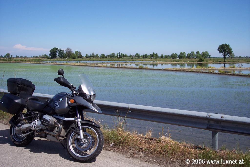 Ricefields (Piemont)