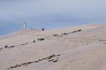 Mont Ventoux (Vaucluse)