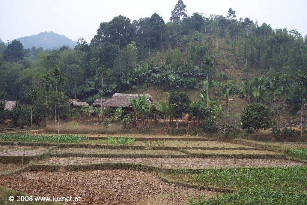 Near Thac Ba lake