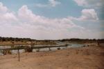 Thamalakane River (Okavango Delta)