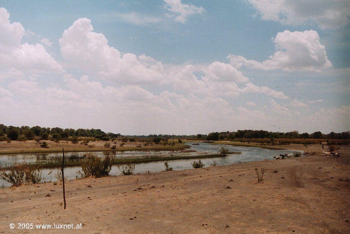 Thamalakane River (Okavango Delta)