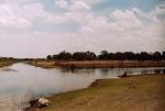 Thamalakane River (Okavango Delta)