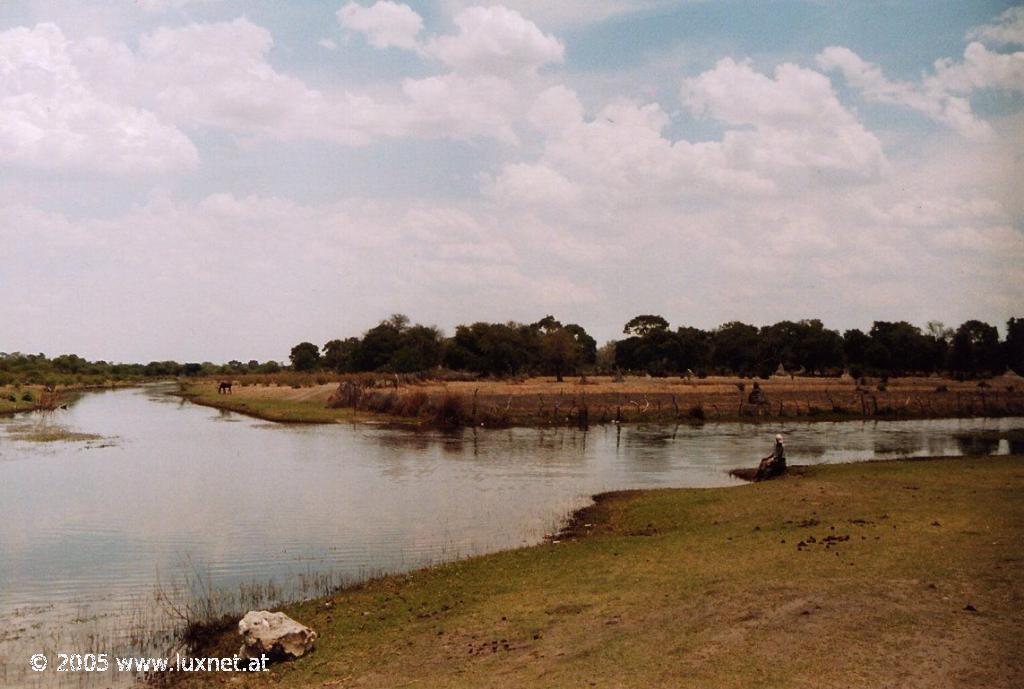 Thamalakane River (Okavango Delta)