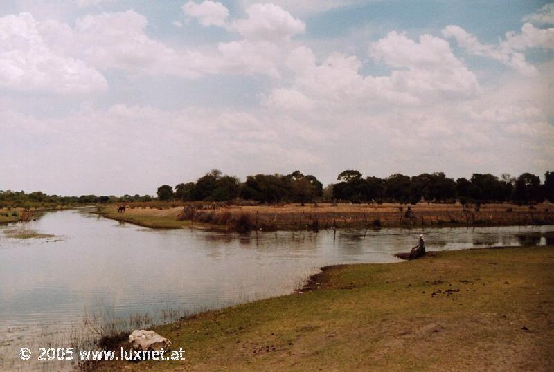 Thamalakane River (Okavango Delta)