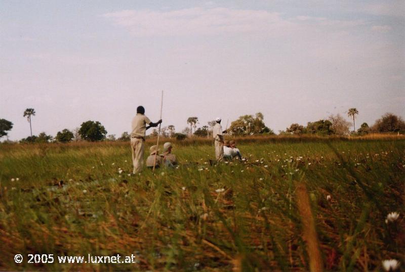 Mokoro Trip (Okavango Delta)