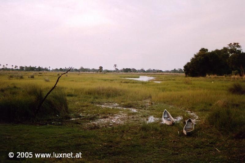 Chiefs Island (Okavango Delta)