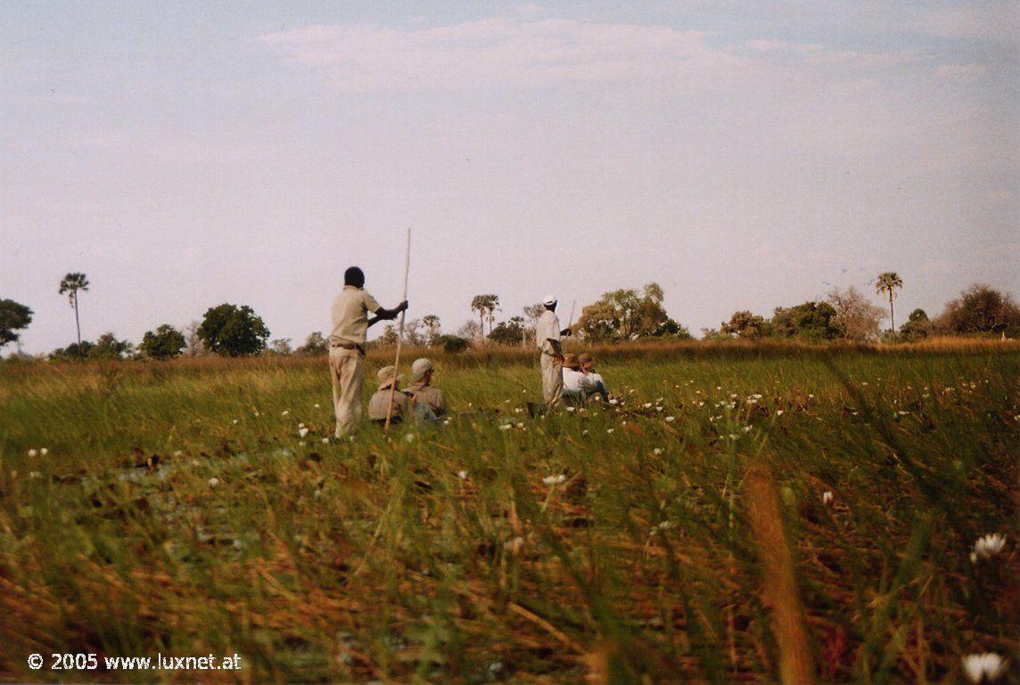 Mokoro Trip (Okavango Delta)