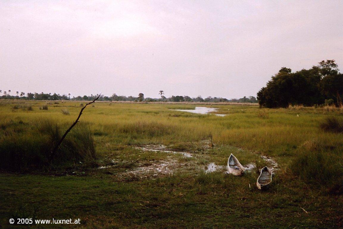 Chiefs Island (Okavango Delta)