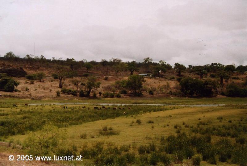 Ngoma Bridge Border