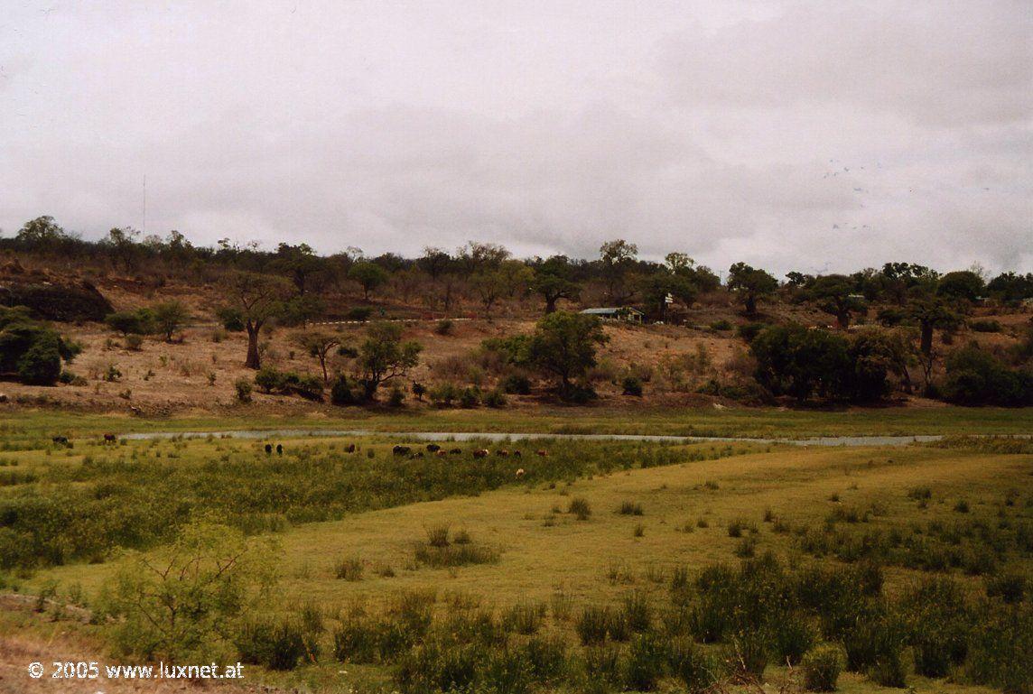 Ngoma Bridge Border