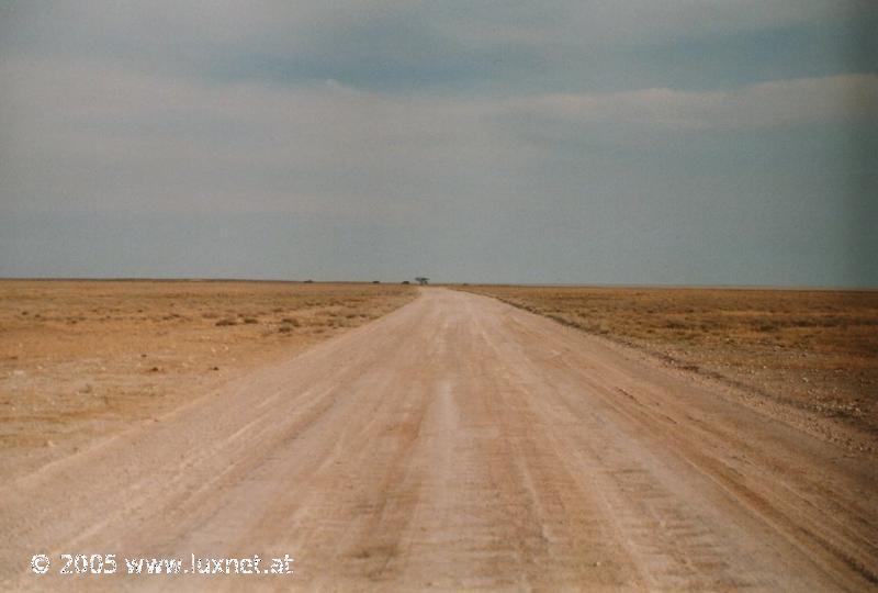 Etosha National Park