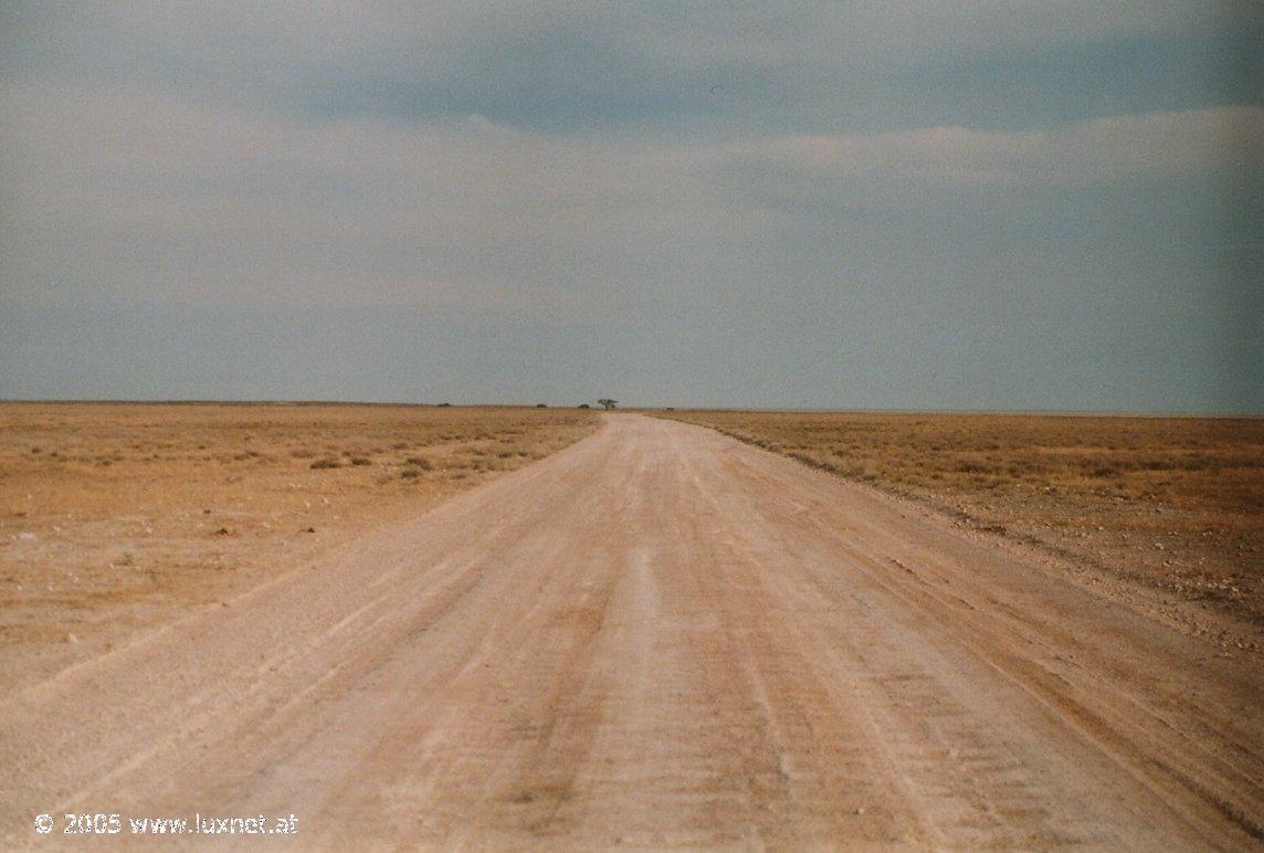 Etosha National Park