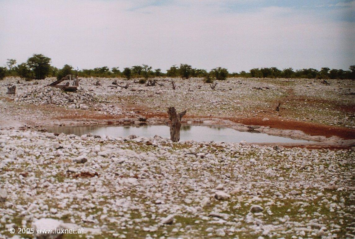 Etosha National Park