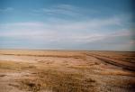 Etosha National Park