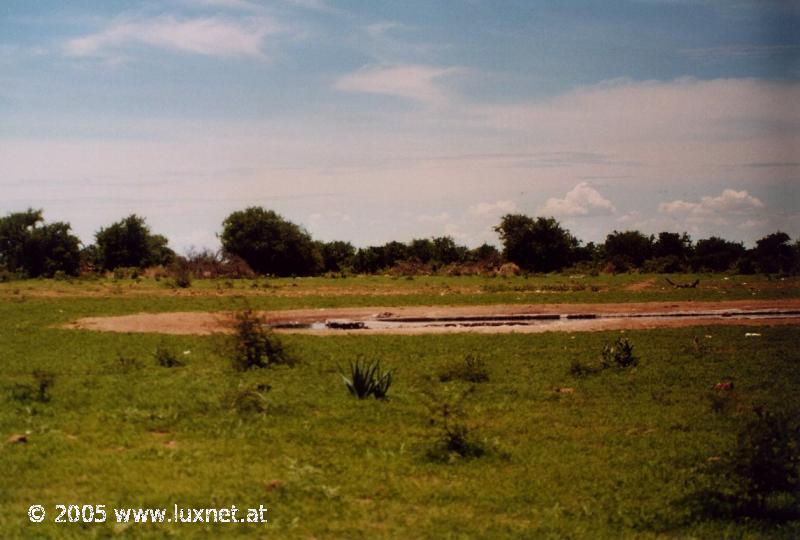 Etosha National Park