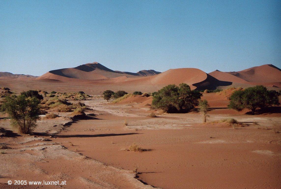 Sossuvlei (Namib Naukluft Park)