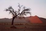 Sossuvlei (Namib Naukluft Park)