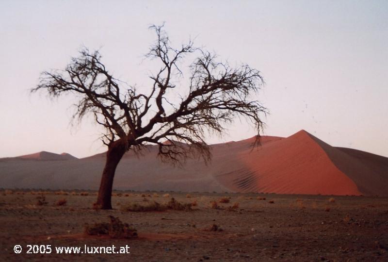 Sossuvlei (Namib Naukluft Park)