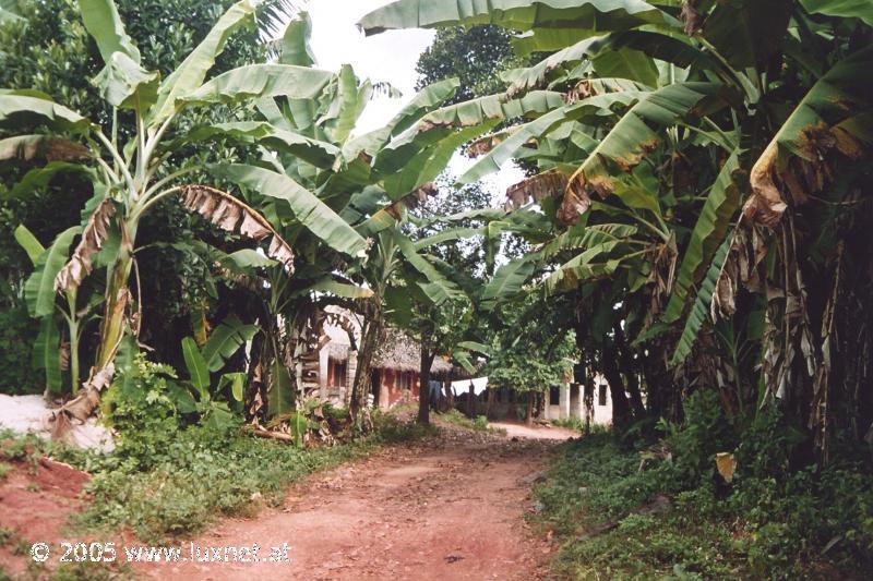 Zanzibar Island