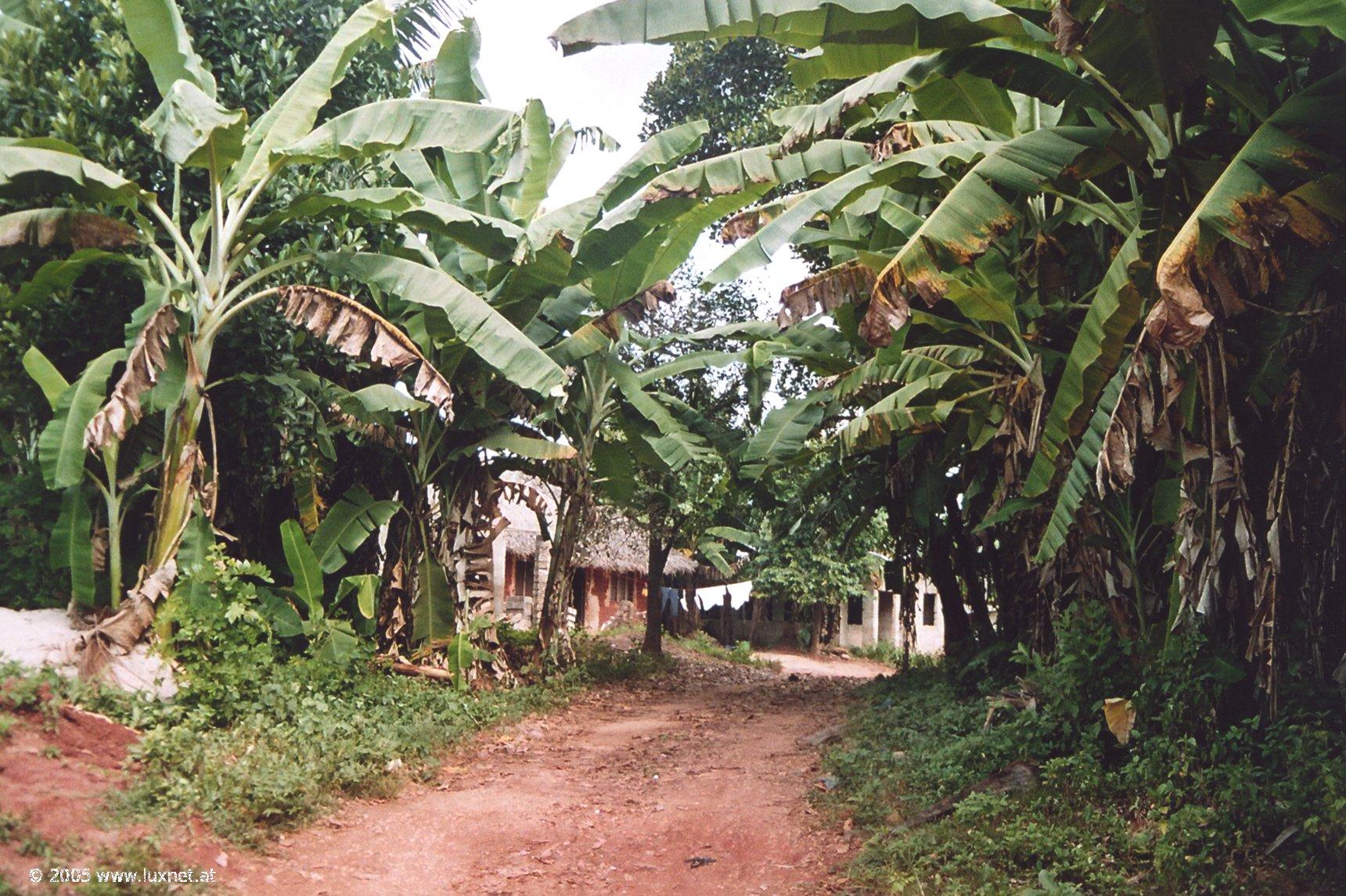 Zanzibar Island