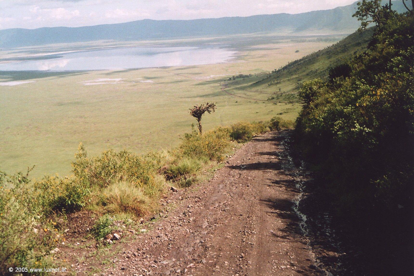 Ngorongoro Crater