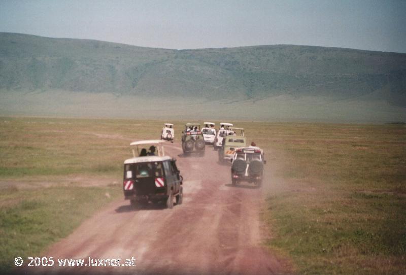 Ngorongoro Crater