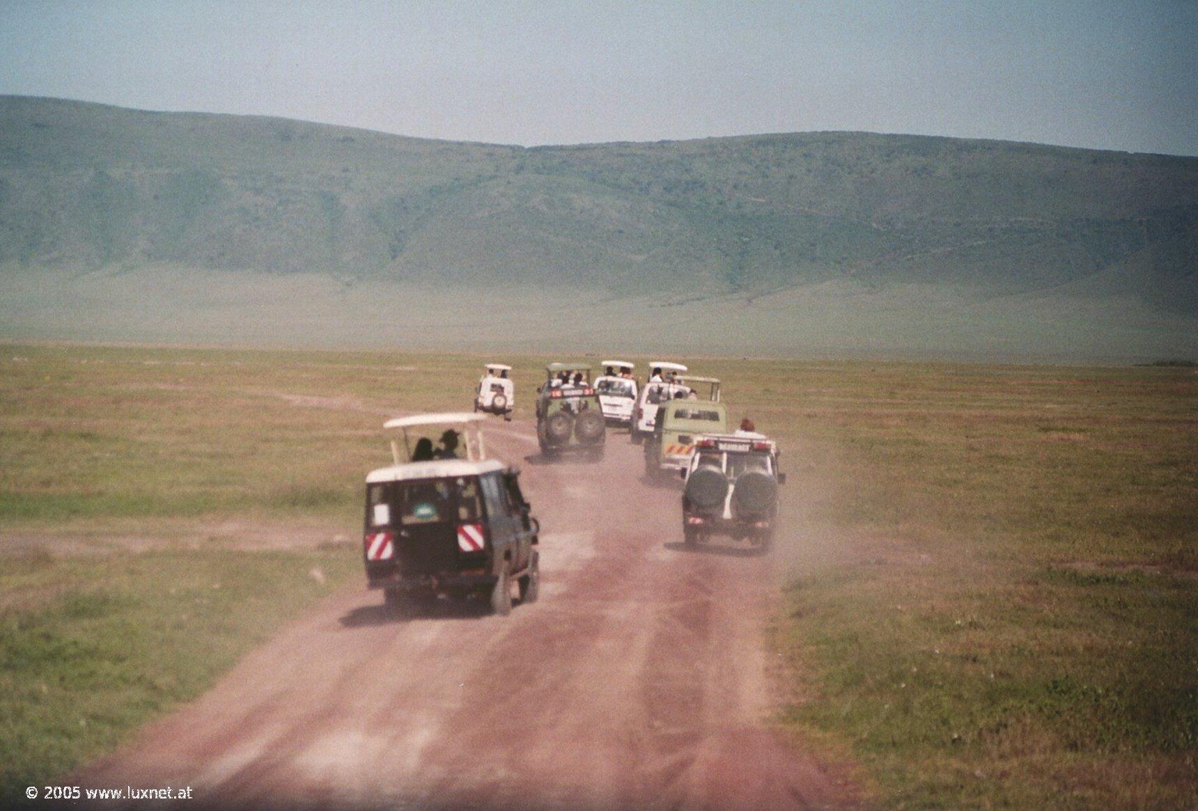 Ngorongoro Crater