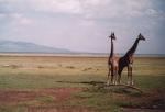 Lake Manyara