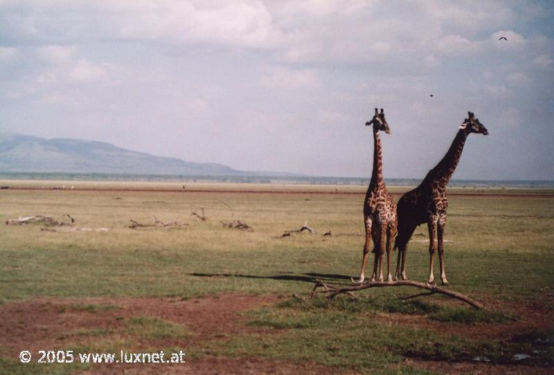 Lake Manyara