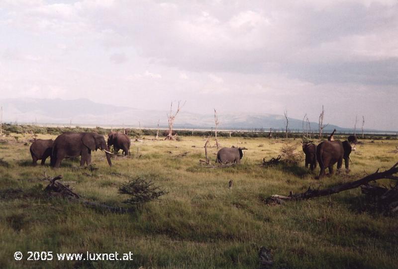 Lake Manyara