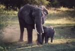 Lake Manyara