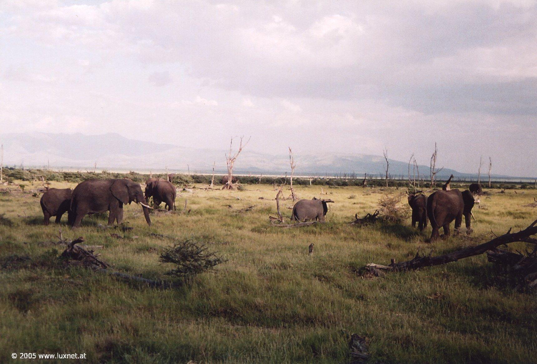 Lake Manyara