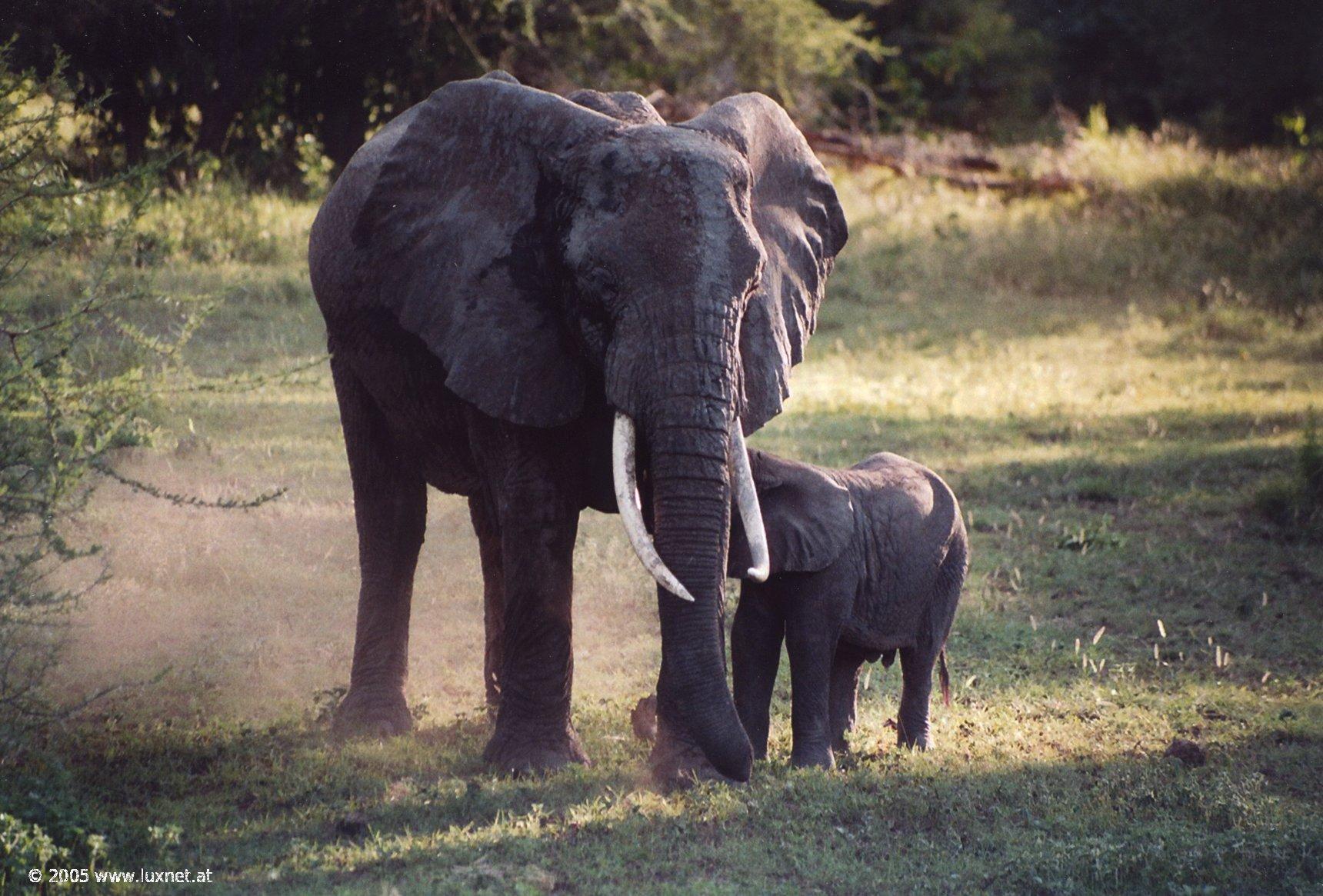 Lake Manyara