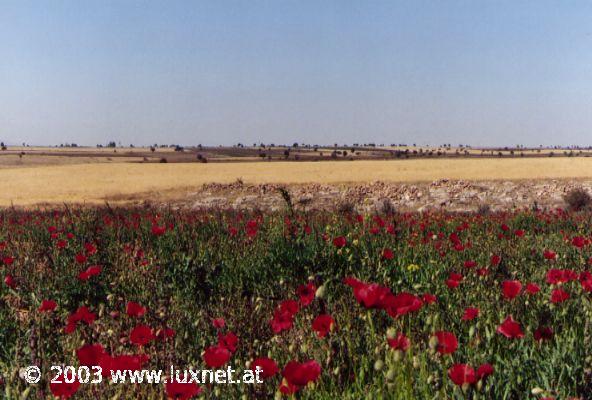 Near Derinkuyu (Nevsehir)