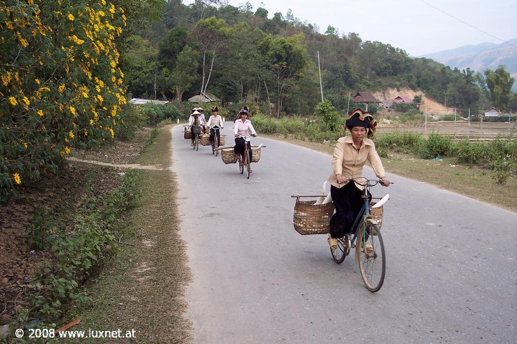 Women on the way to the market