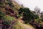 Ribeira do Paul (Santo Antao)