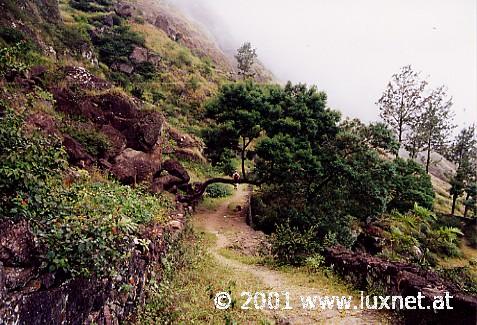 Ribeira do Paul (Santo Antao)