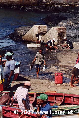 Fishermen (Santo Antao)
