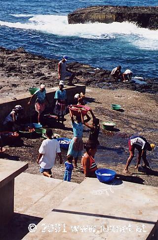 Fishdelivery (Santo Antao)