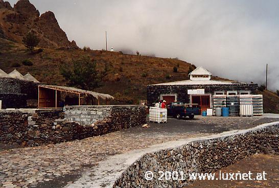 Wine Cooperativa (Fogo)