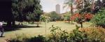 Harare Gardens (Harare)