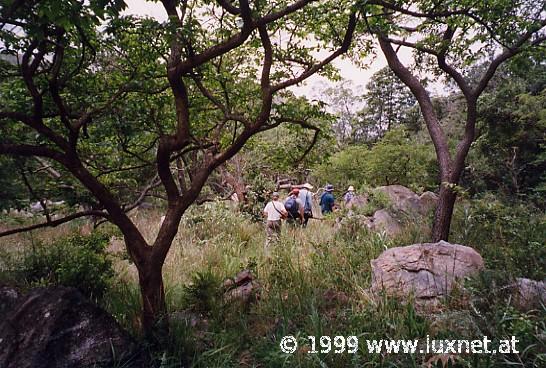 Malolotja Hike