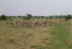 Kruger National Park