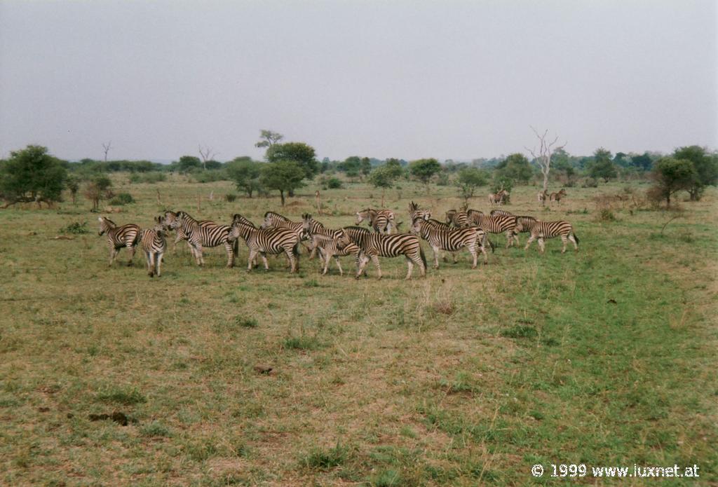 Kruger National Park