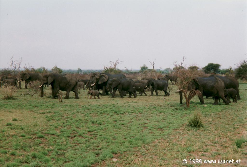 Kruger National Park