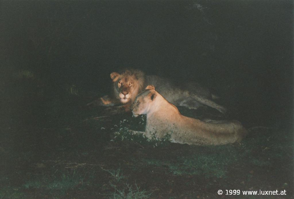 Kruger National Park