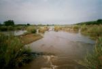 Kruger National Park