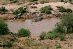 Kruger National Park