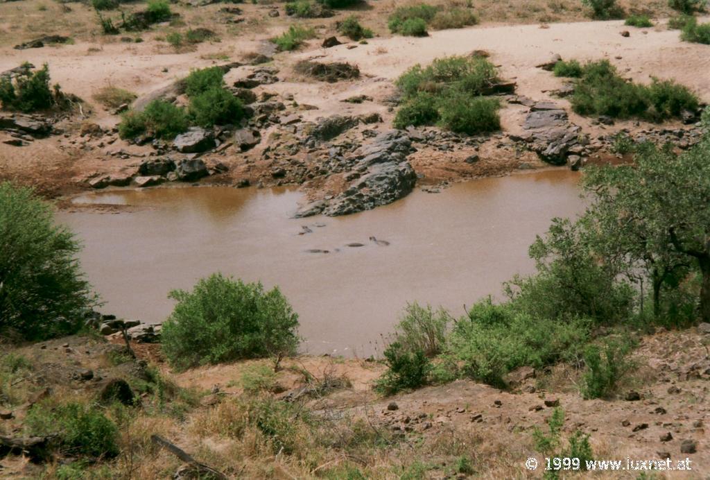 Kruger National Park